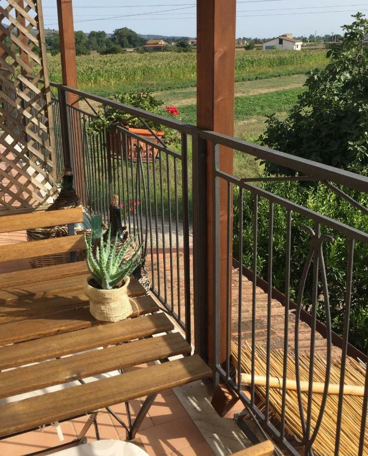 B&B La Nonnina Del Cilento Casal Velino Exterior foto